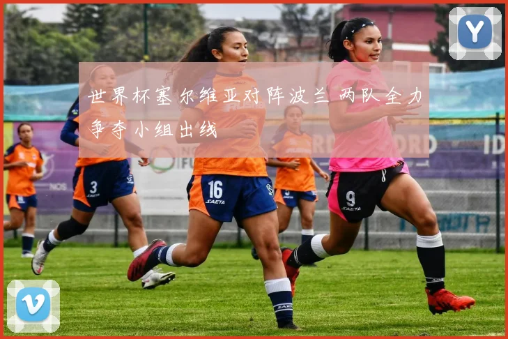 世界杯塞尔维亚对阵波兰 两队全力争夺小组出线