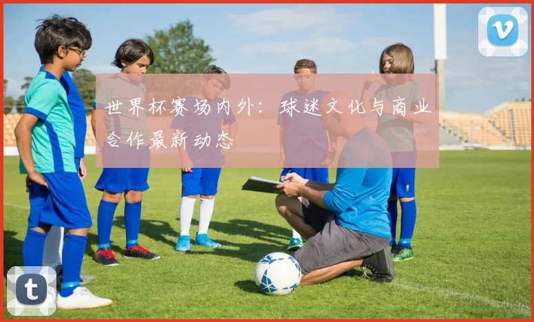 世界杯赛场内外：球迷文化与商业合作最新动态