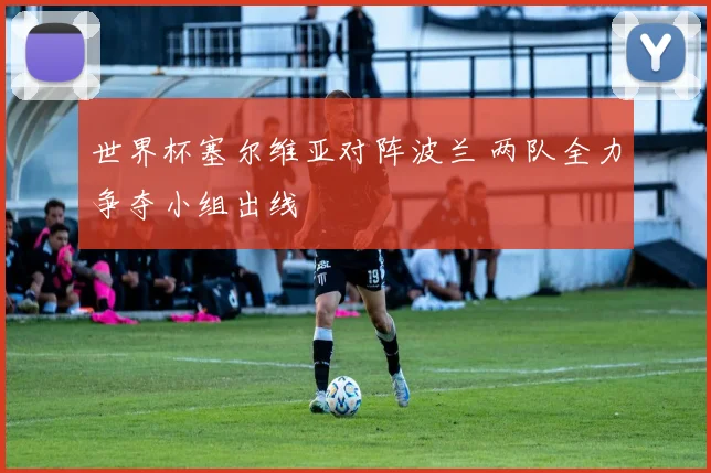 世界杯塞尔维亚对阵波兰 两队全力争夺小组出线