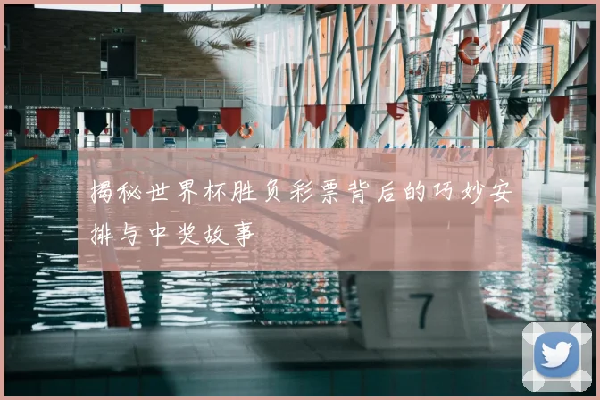 揭秘世界杯胜负彩票背后的巧妙安排与中奖故事