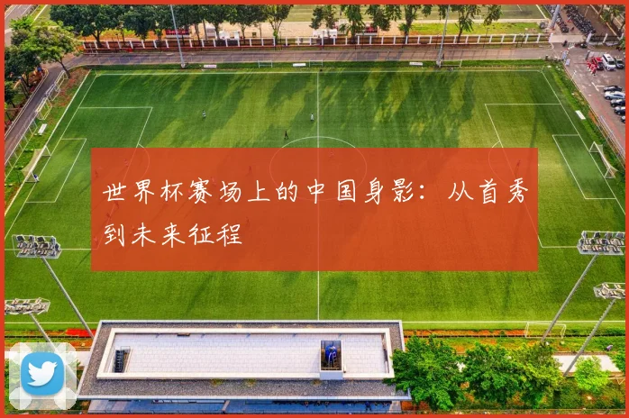 世界杯赛场上的中国身影：从首秀到未来征程