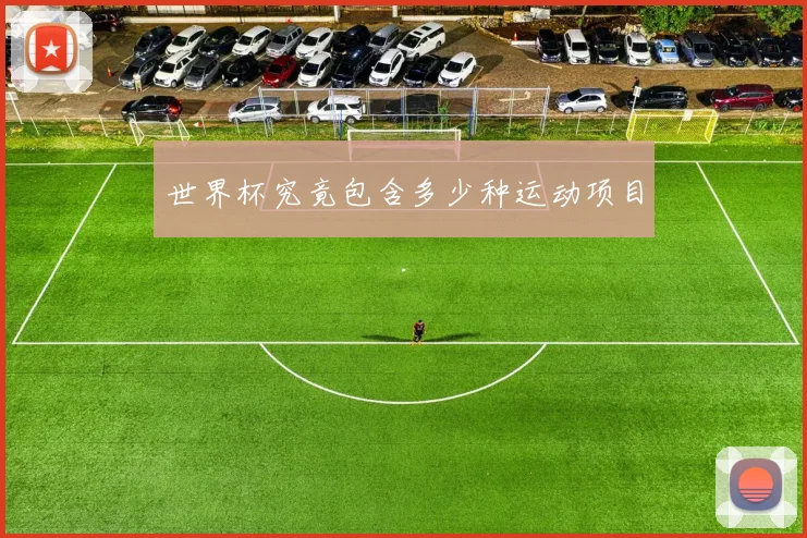 世界杯究竟包含多少种运动项目