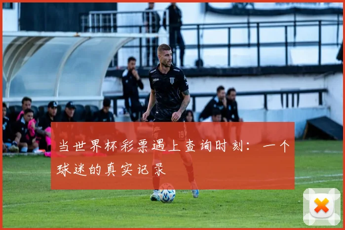 当世界杯彩票遇上查询时刻：一个球迷的真实记录