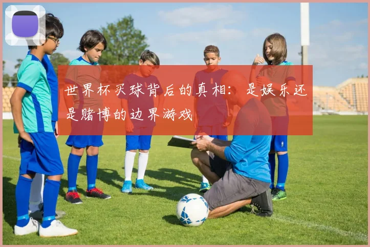 世界杯买球背后的真相：是娱乐还是赌博的边界游戏