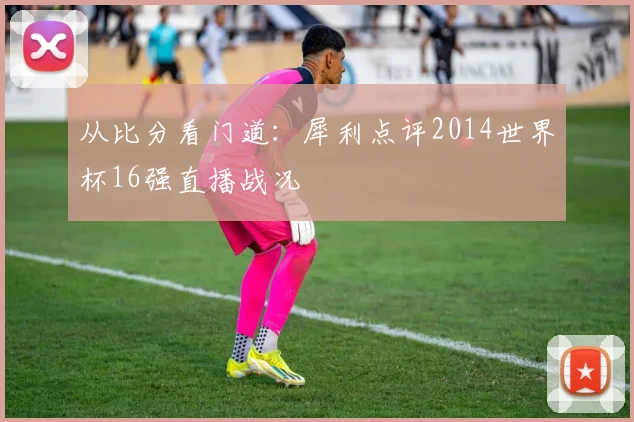 从比分看门道：犀利点评2014世界杯16强直播战况